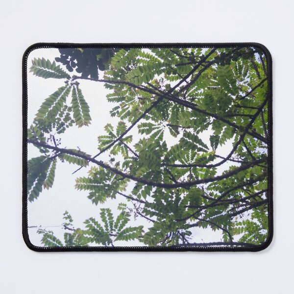 Item preview, Albizia adianthifoli designed and sold by ROSE ANN BANILAR.