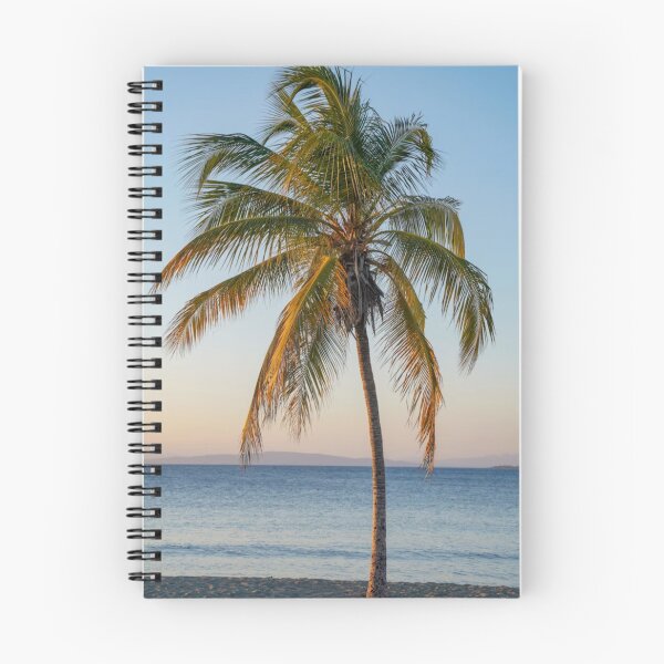 Item preview, Life in a Historic American City designed and sold by nitina56x.