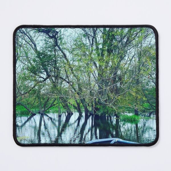 Item preview, Everglades designed and sold by Courtney Croxall.
