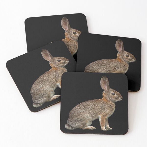 Item preview, Alert Wild Bunny Rabbit Portrait Photography designed and sold by Elwynn WildLight Photography.