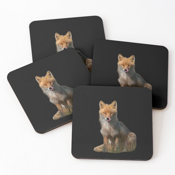 Item preview, Playful Red Fox Licking Nose Wildlife Photography designed and sold by Elwynn WildLight Photography.