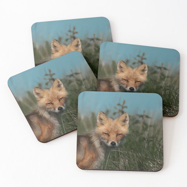 Item preview, Curious Red Fox Alaskan Wilderness Portrait Photography designed and sold by Elwynn WildLight Photography.