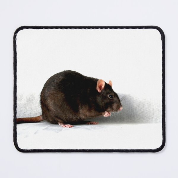 Item preview, Rat designed and sold by Alan Harman.