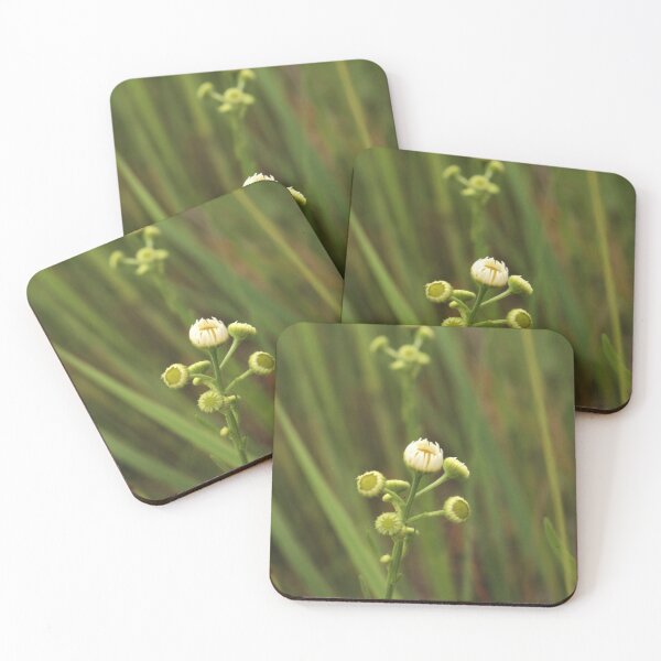 Item preview, Spring Garden Awakening: Chamomile Flower Buds designed and sold by vikko-art.
