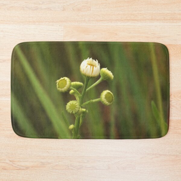 Item preview, Spring Garden Awakening: Chamomile Flower Buds designed and sold by vikko-art.