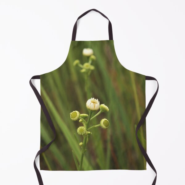 Item preview, Spring Garden Awakening: Chamomile Flower Buds designed and sold by vikko-art.