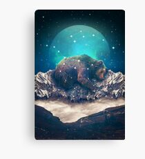 Under the Stars | Ursa Major Canvas Print