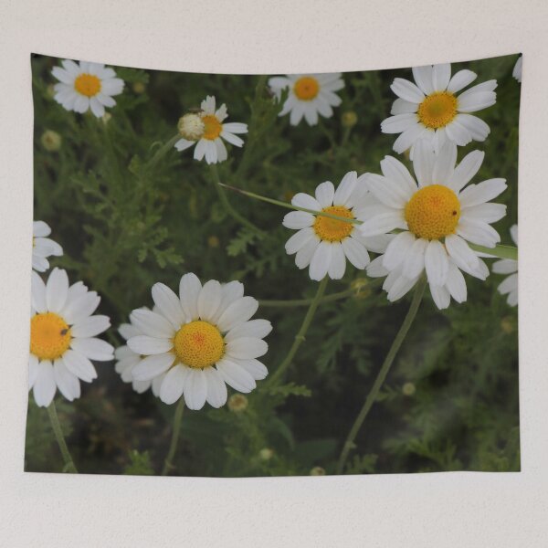 Item preview, White Daisies Meadow Pattern - Cottagecore Aesthetic Photography designed and sold by vikko-art.