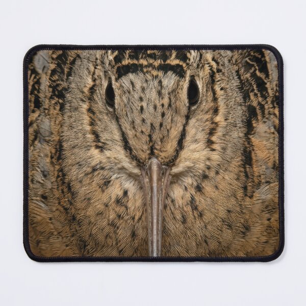 Item preview, American Woodcock designed and sold by Tee-se Me More.