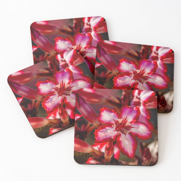 Item preview, Impala Lily in Bloom - Vibrant African Wildflower Botanical Photography, Kruger National Park designed and sold by Johnathan Robinson Photography.