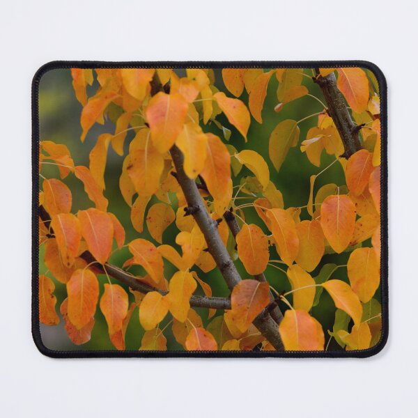 Item preview, Golden Yellow Autumn Leaves Pattern Warm Nature Aesthetic Botanical Wall Art designed and sold by onubi.