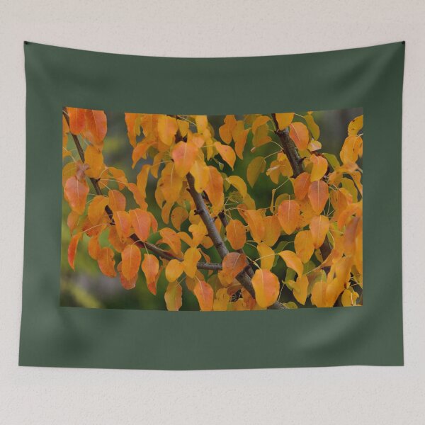 Artikelvorschau, Golden Yellow Autumn Leaves Pattern Warm Nature Aesthetic Botanical Wall Art entworfen und verkauft von onubi.