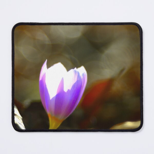 Item preview, Purple Crocus Flower Soft Light Bokeh Minimal Botanical Aesthetic Wall Art designed and sold by onubi.