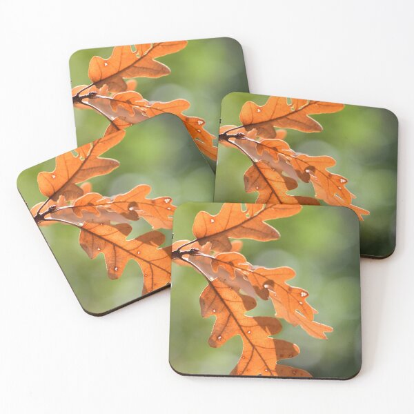 Artikelvorschau, Golden Oak Leaves Sunlight Minimal Nature Aesthetic Autumn Wall Art entworfen und verkauft von onubi.
