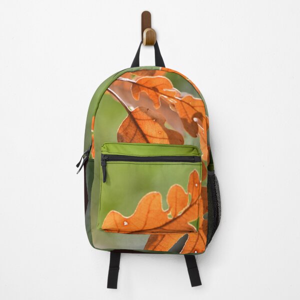 Artikelvorschau, Golden Oak Leaves Sunlight Minimal Nature Aesthetic Autumn Wall Art entworfen und verkauft von onubi.