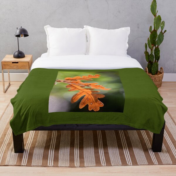 Artikelvorschau, Golden Oak Leaves Sunlight Minimal Nature Aesthetic Autumn Wall Art entworfen und verkauft von onubi.
