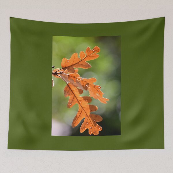 Artikelvorschau, Golden Oak Leaves Sunlight Minimal Nature Aesthetic Autumn Wall Art entworfen und verkauft von onubi.