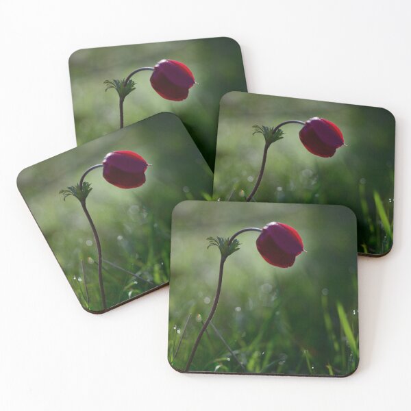Item preview, Single Red Flower Minimal Nature Aesthetic Soft Light Botanical Wall Art designed and sold by onubi.