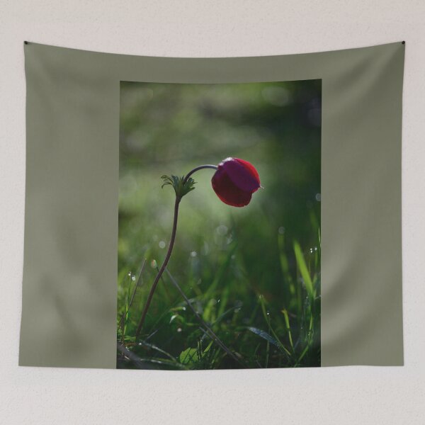 Item preview, Single Red Flower Minimal Nature Aesthetic Soft Light Botanical Wall Art designed and sold by onubi.