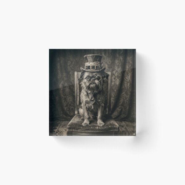 Item preview, Victorian Gentleman Brussels Griffon Antique Daguerreotype Portrait designed and sold by PawAndPalace.