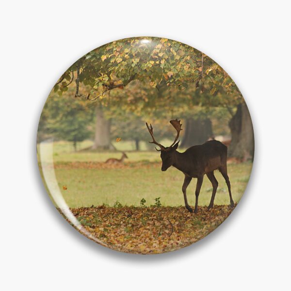 Item preview, As the Leaves Fall in Wychwood designed and sold by Murph's Images.