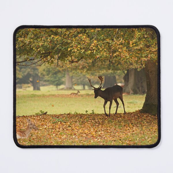 Item preview, As the Leaves Fall in Wychwood designed and sold by Murph's Images.