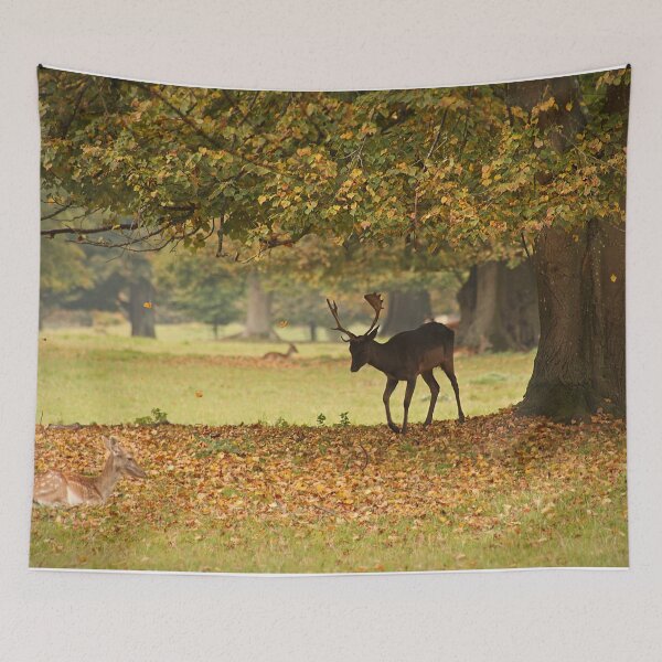 Item preview, As the Leaves Fall in Wychwood designed and sold by Murph's Images.