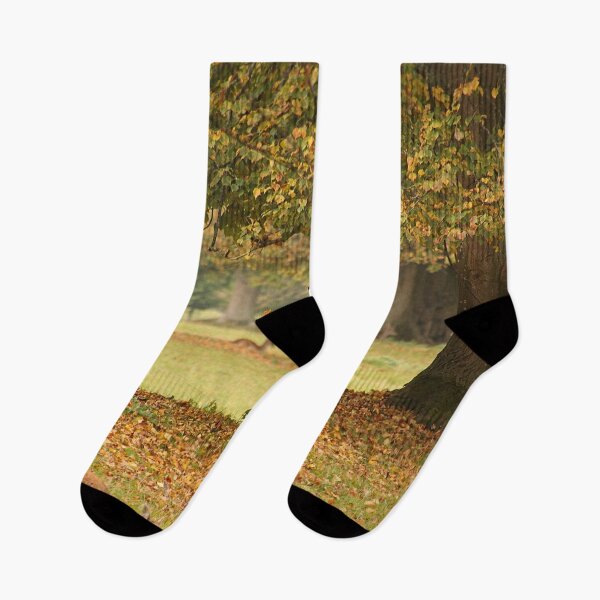 Item preview, As the Leaves Fall in Wychwood designed and sold by Murph's Images.