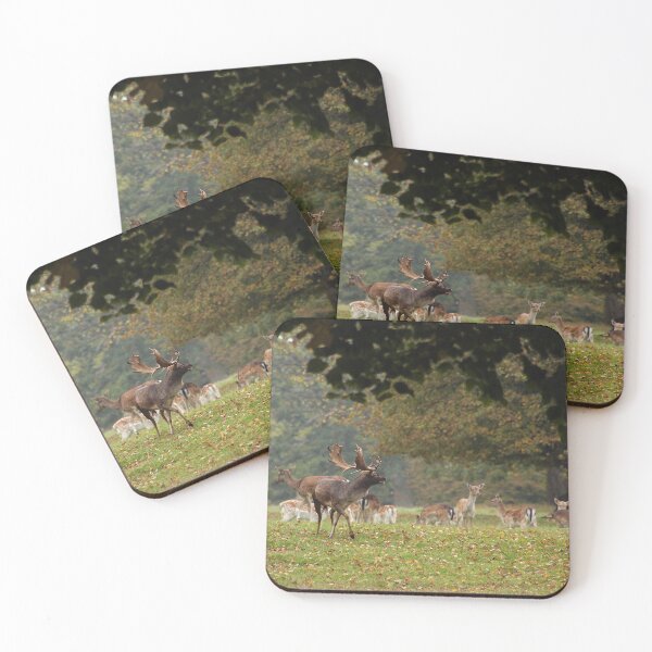 Item preview, Fallow Deer designed and sold by Murph's Images.