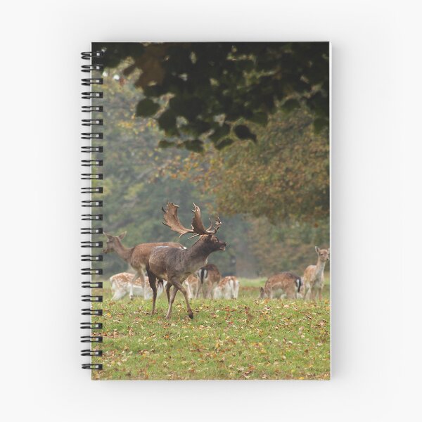 Item preview, Fallow Deer designed and sold by Murph's Images.