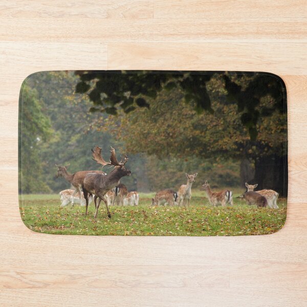 Item preview, Fallow Deer designed and sold by Murph's Images.