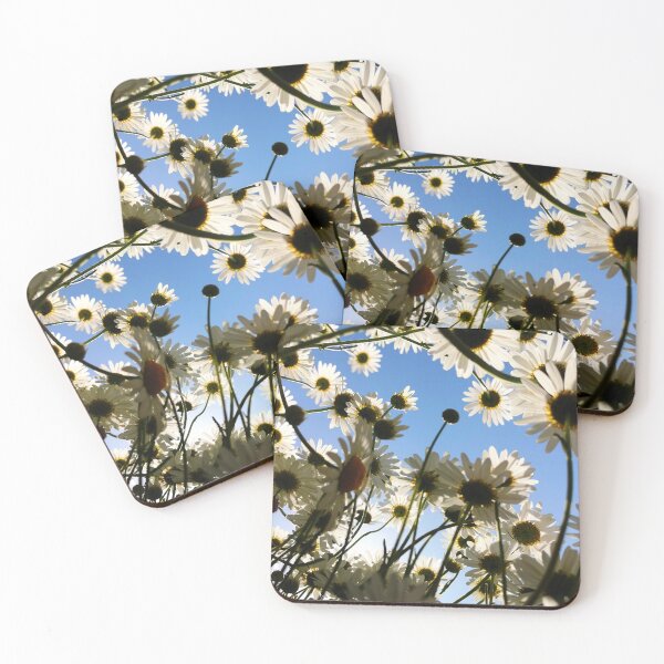 Item preview, Sunlit Daisies Against Blue Sky Background designed and sold by Kainicram.