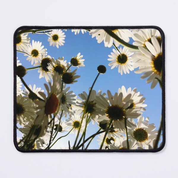Item preview, Sunlit Daisies Against Blue Sky Background designed and sold by Kainicram.