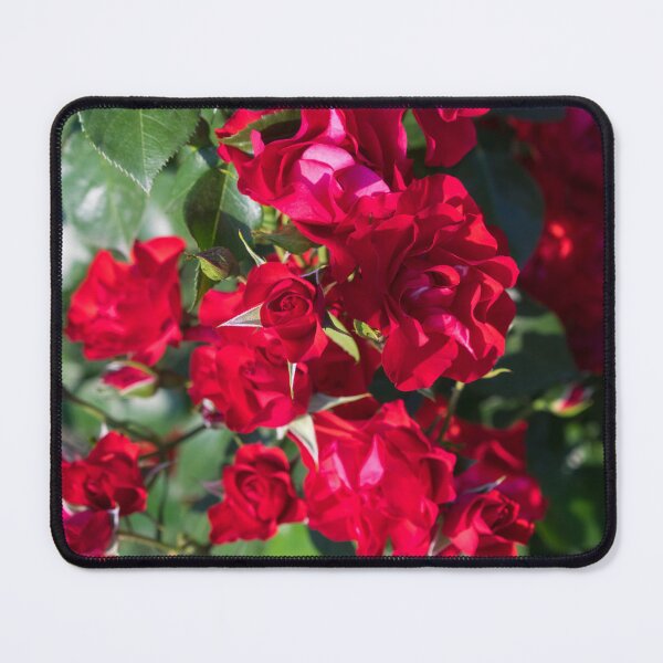 Item preview, Vivid Carmine Red Roses in Bloom designed and sold by Georgia Mizuleva.