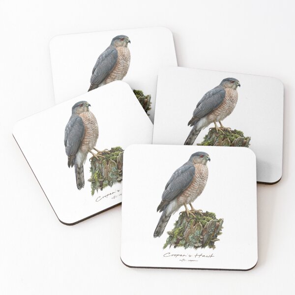 Item preview, Cooper's Hawk on Mossy Stump designed and sold by Takeda-art.