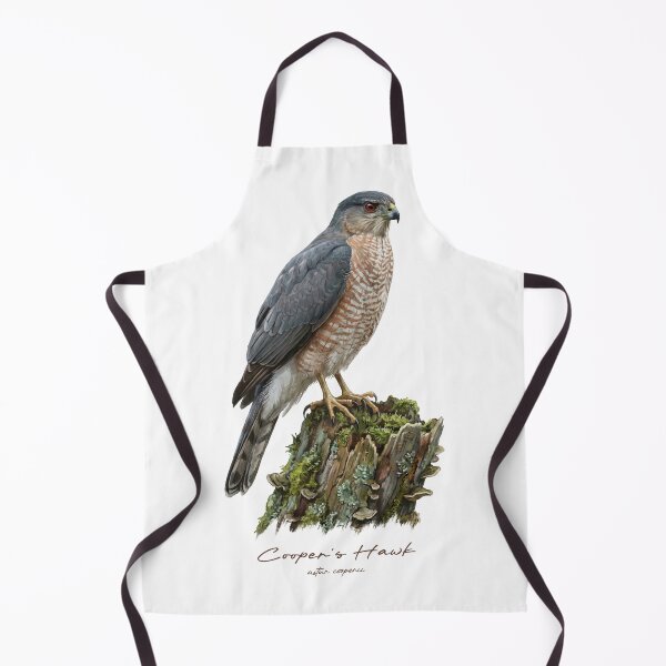 Item preview, Cooper's Hawk on Mossy Stump designed and sold by Takeda-art.