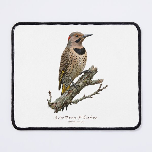 Item preview, Northern Flicker on Rustic Branch designed and sold by Takeda-art.