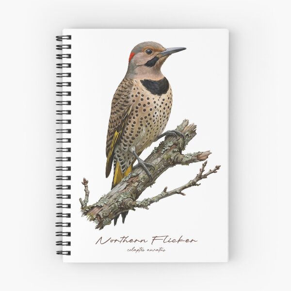 Item preview, Northern Flicker on Rustic Branch designed and sold by Takeda-art.