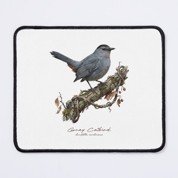 Item preview, Gray Catbird on Rustic Branch designed and sold by Takeda-art.