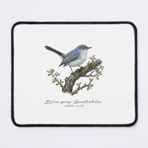 Item preview, Blue-gray Gnatcatcher on Flowery Branch designed and sold by Takeda-art.
