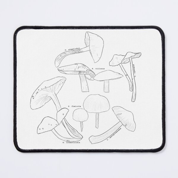 Item preview, Scientific Mushroom Illustration designed and sold by glitchpr0t0c0l.