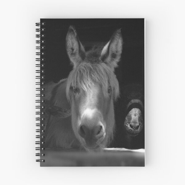 Item preview, Molly & Friends Monochrome designed and sold by Wayne King.