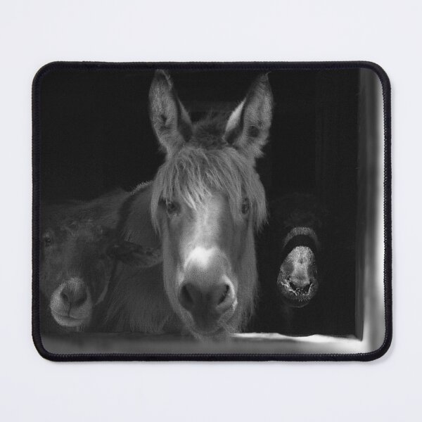 Item preview, Molly & Friends Monochrome designed and sold by Wayne King.