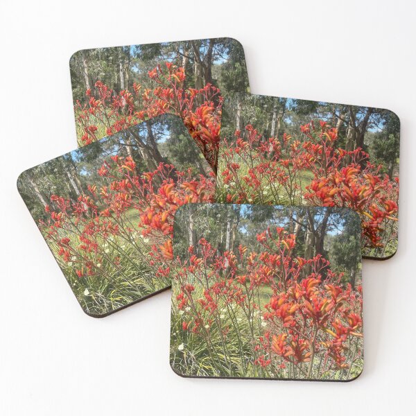 Item preview, Red kangaroo paw near bushland designed and sold by Jazzymitch1.