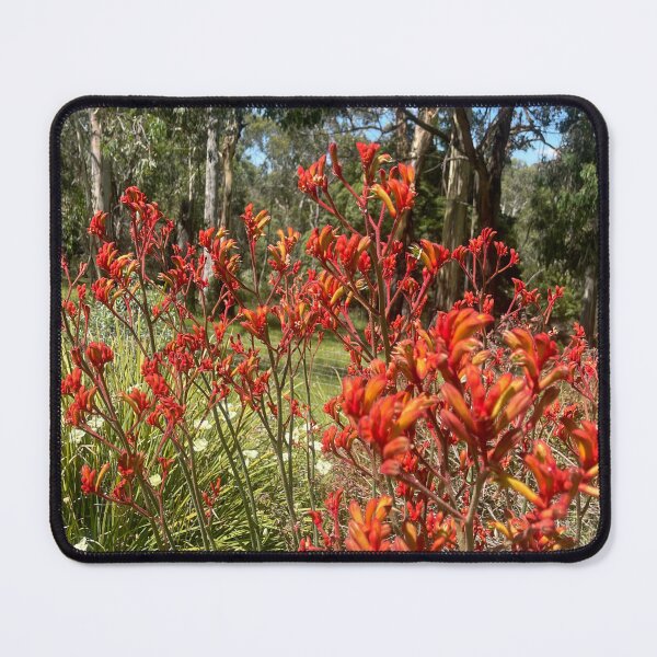 Item preview, Red kangaroo paw near bushland designed and sold by Jazzymitch1.