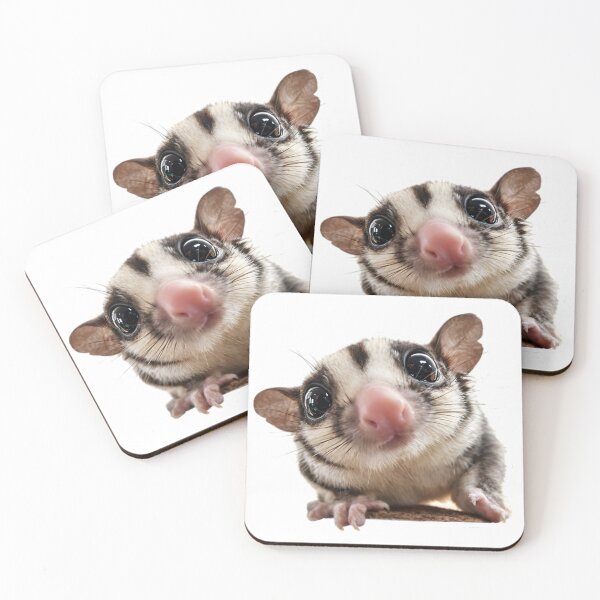 Item preview, Sugar Glider Sticker — Cute Realistic Animal designed and sold by OneStepFromArt.