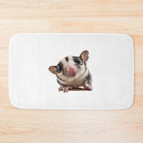 Item preview, Sugar Glider Sticker — Cute Realistic Animal designed and sold by OneStepFromArt.
