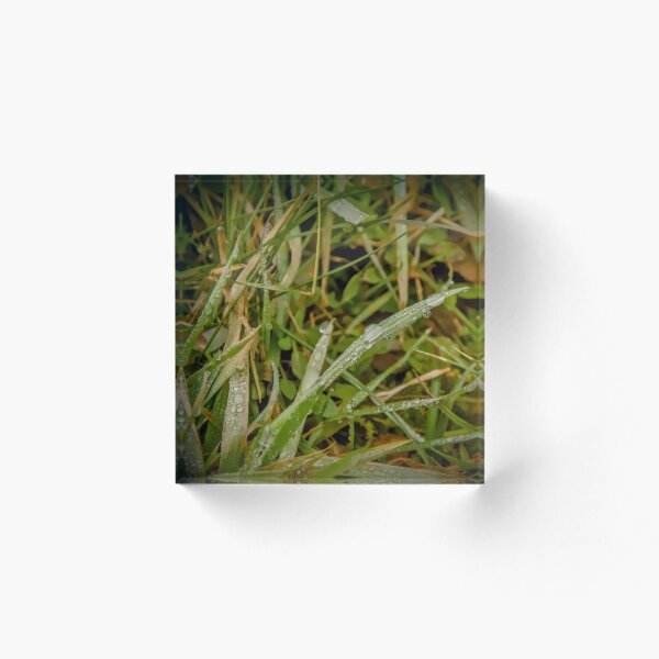Item preview, Earthy Morning Dew: Diagonal Grass Macro designed and sold by ShotsbyDesiree.