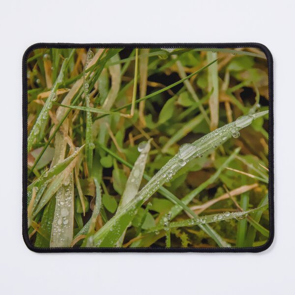 Item preview, Earthy Morning Dew: Diagonal Grass Macro designed and sold by ShotsbyDesiree.