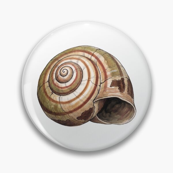 Item preview, Empty Snail Shell designed and sold by Sumi & Stone.